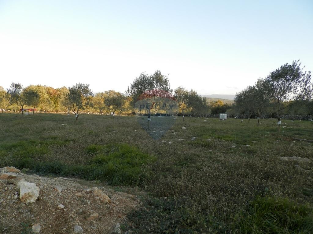 Image 5410957 - 1