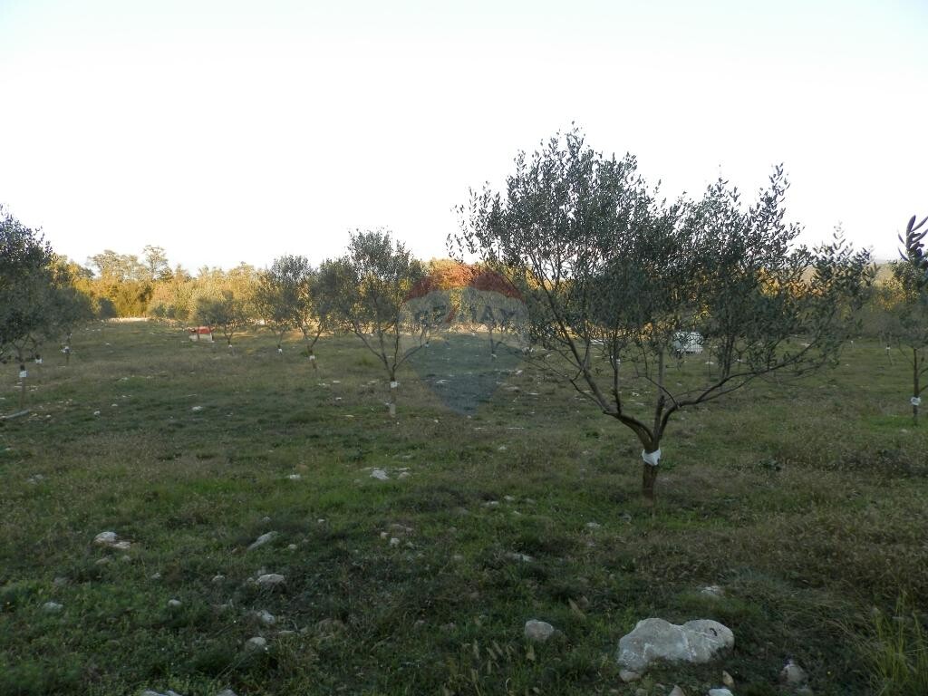 Image 5410957 - 3