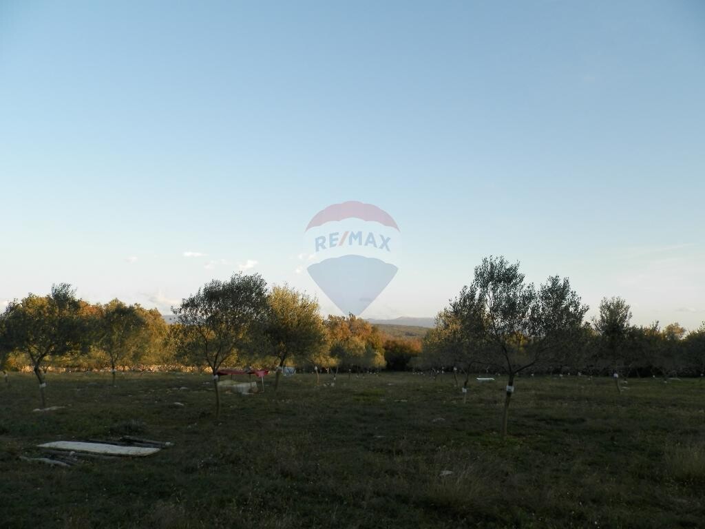 Image 5410957 - 5