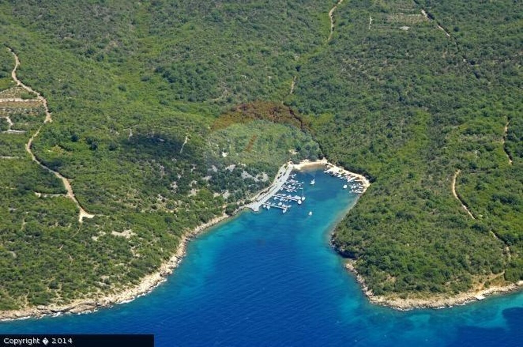Image 5410958 - 1