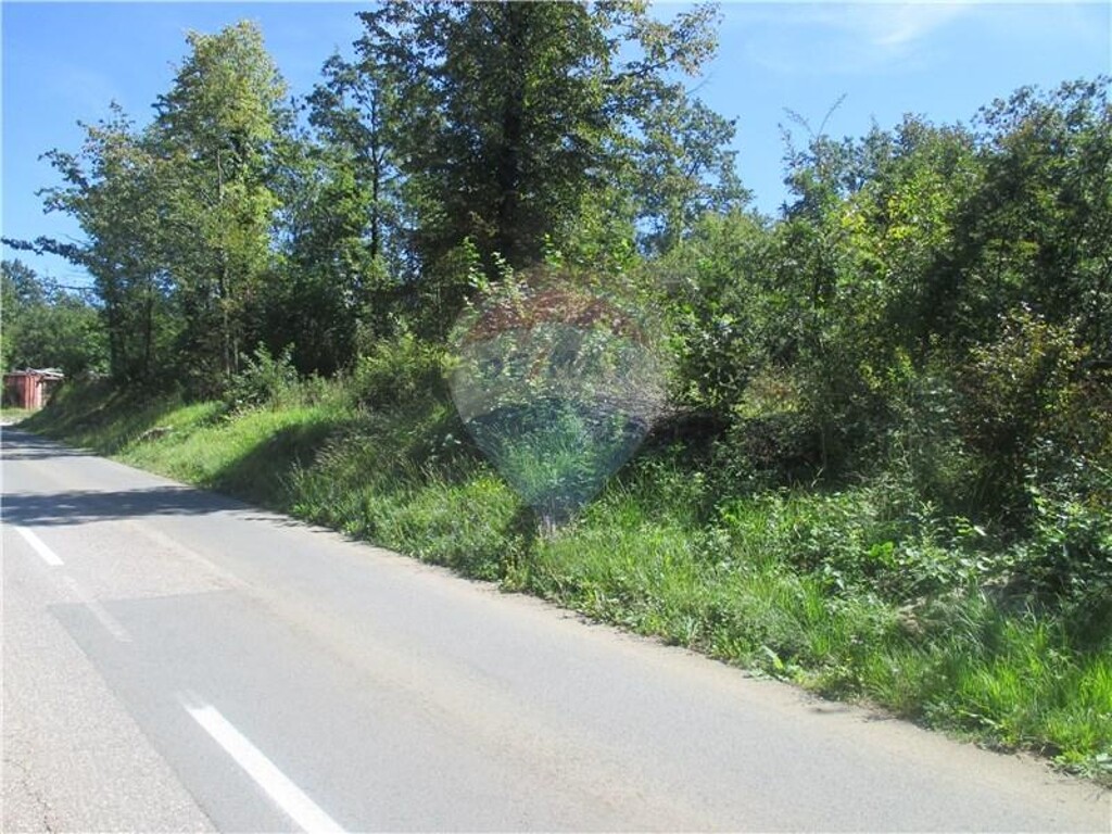 Image 5410979 - 3