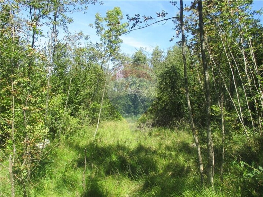 Image 5410979 - 4