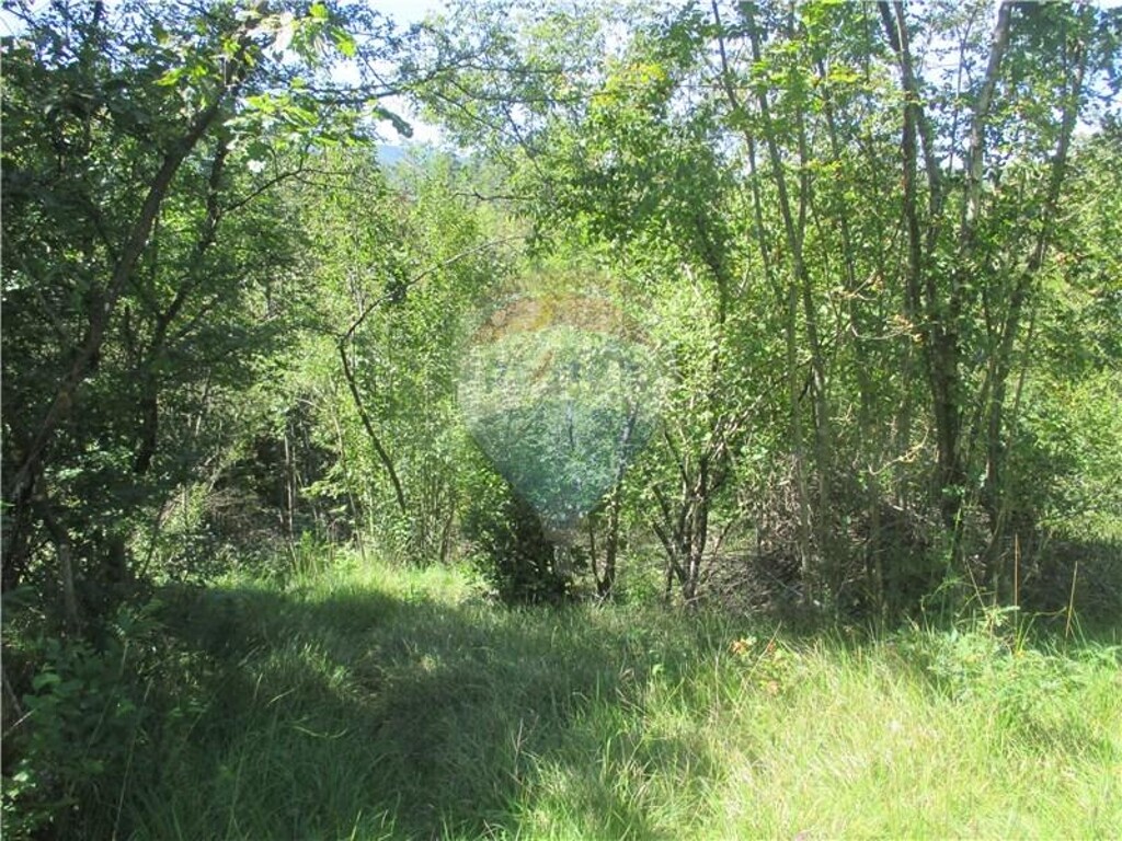 Image 5410979 - 5
