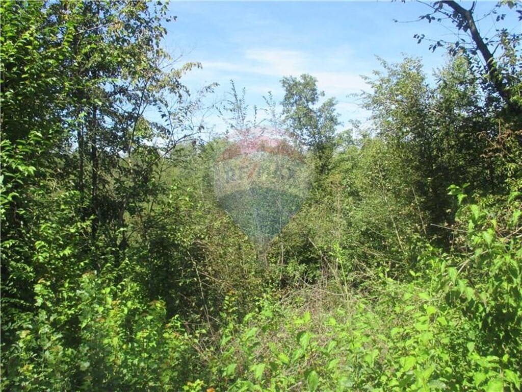 Image 5410979 - 2