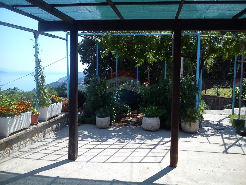 Image 5410997 - 1