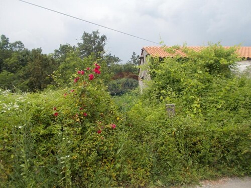 Thumbnail 5411005 - 1