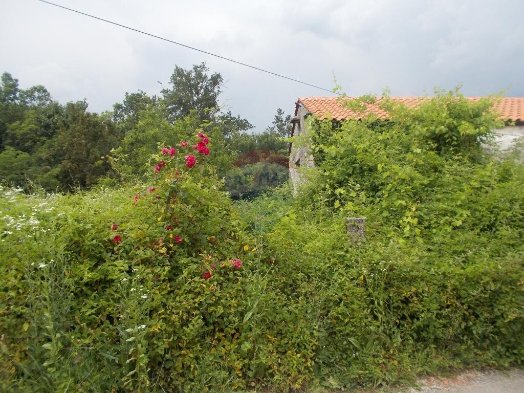 Image 5411005 - 1