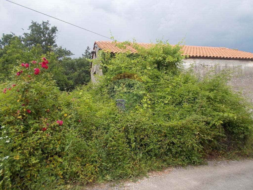 Image 5411005 - 2