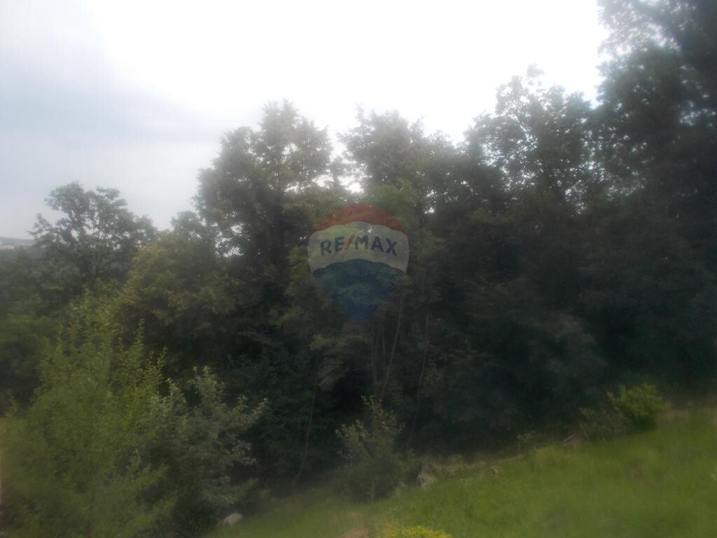 Image 5411005 - 5