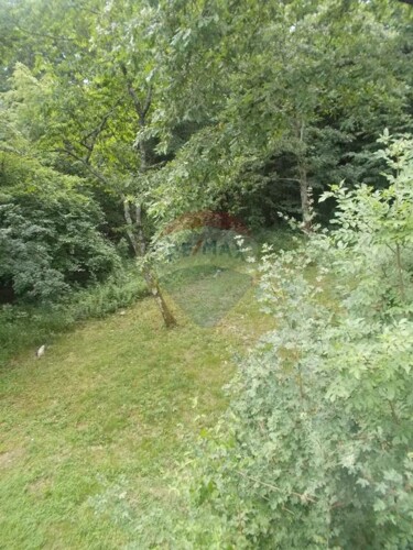 Thumbnail 5411005 - 4