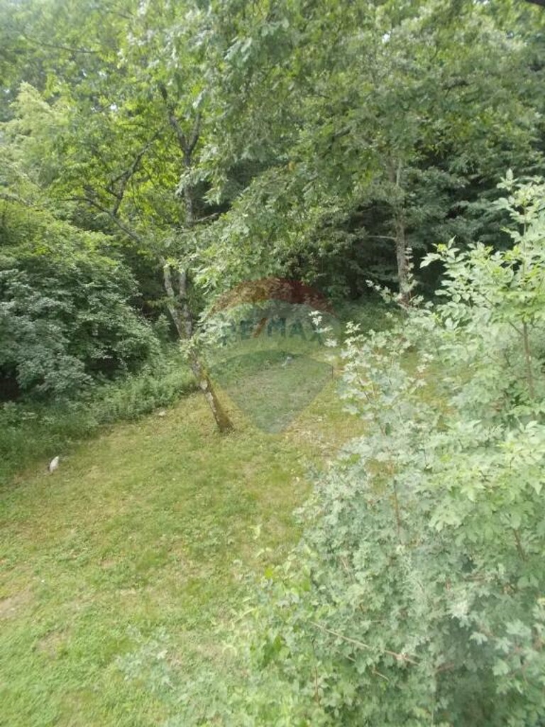 Image 5411005 - 4