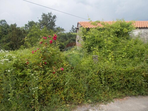 Thumbnail 5411005 - 3