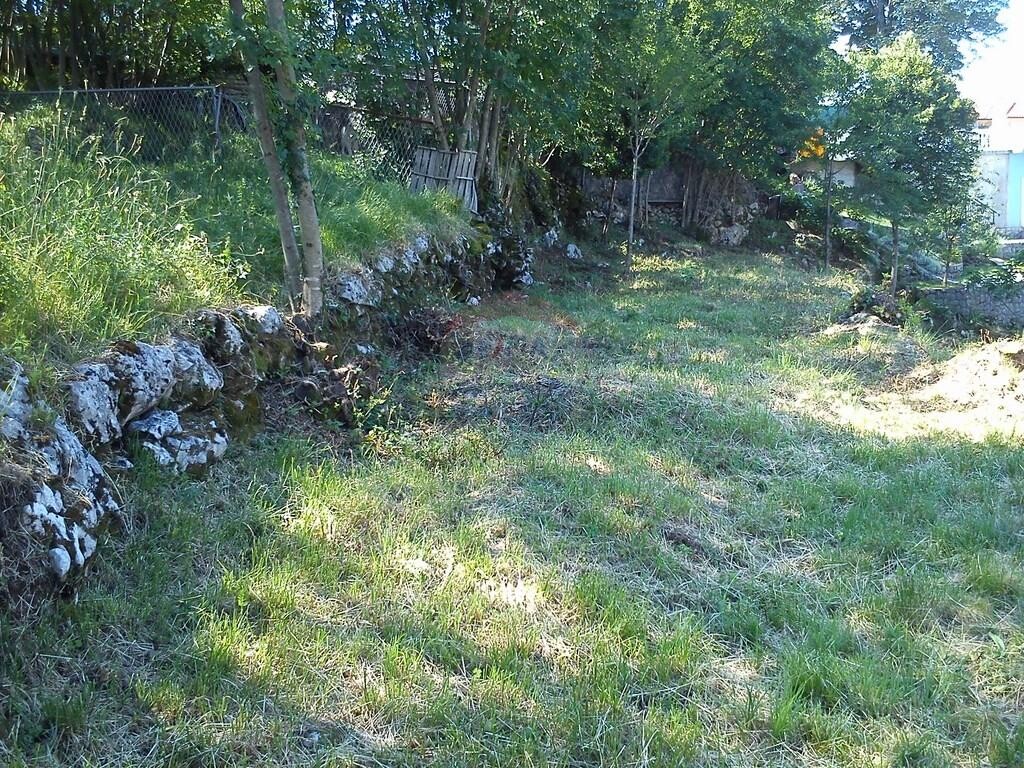 Image 5411019 - 2