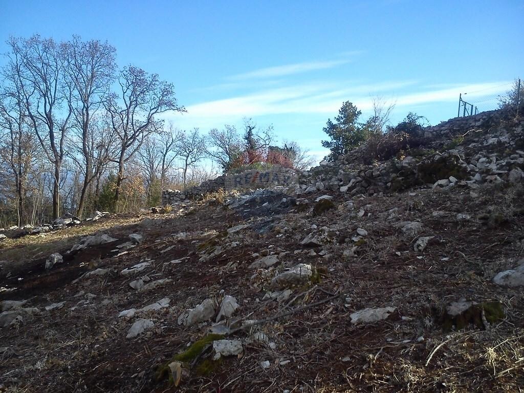 Image 5411025 - 4