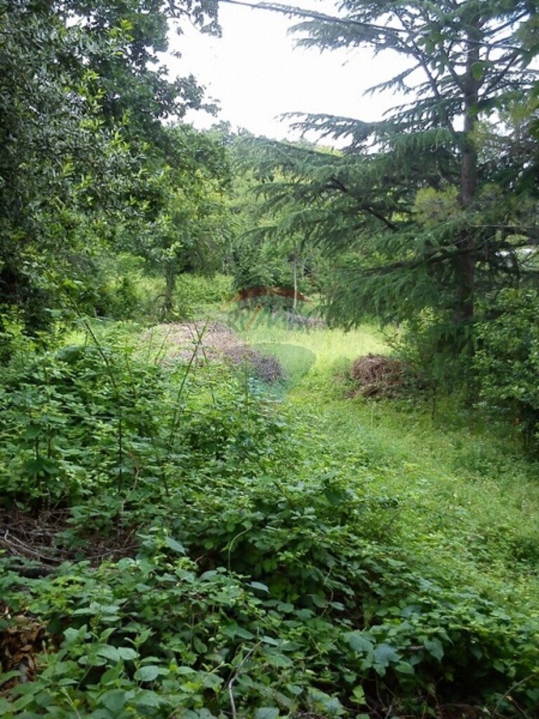 Image 5411026 - 2