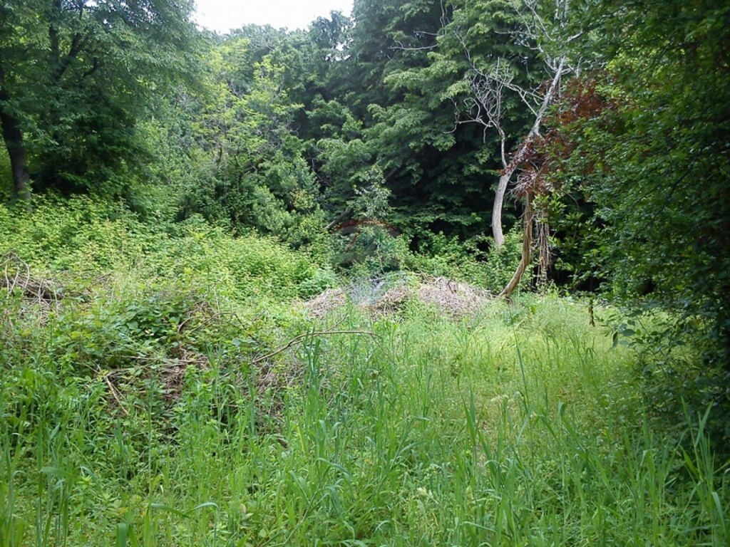 Image 5411026 - 4