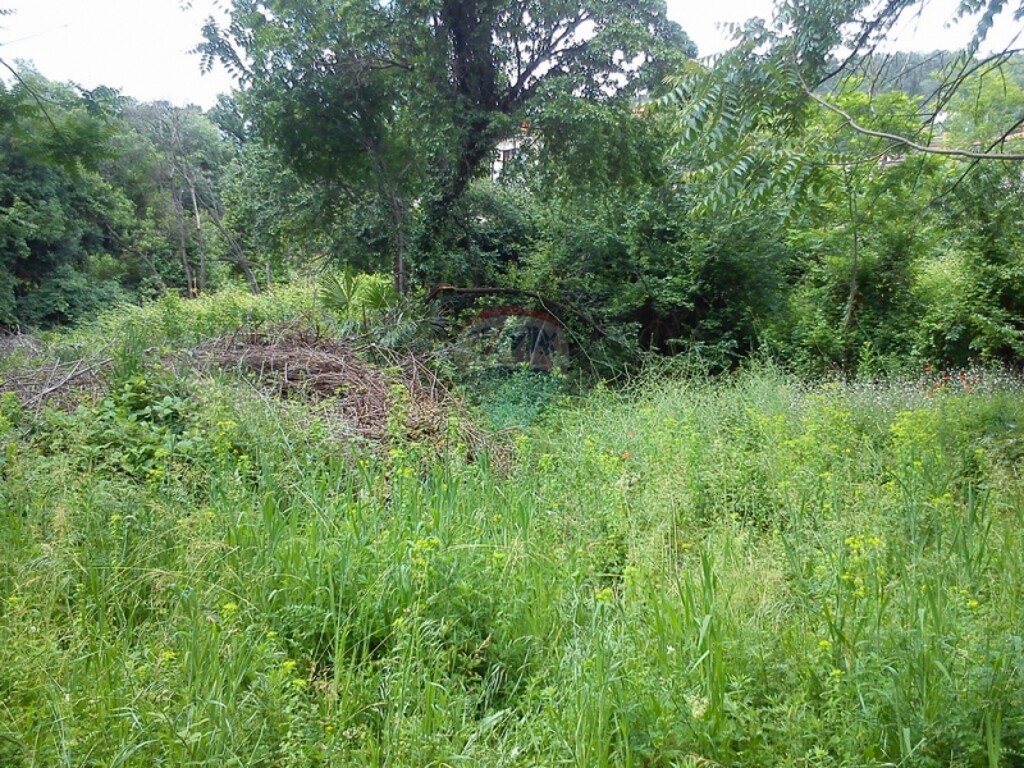 Image 5411026 - 3