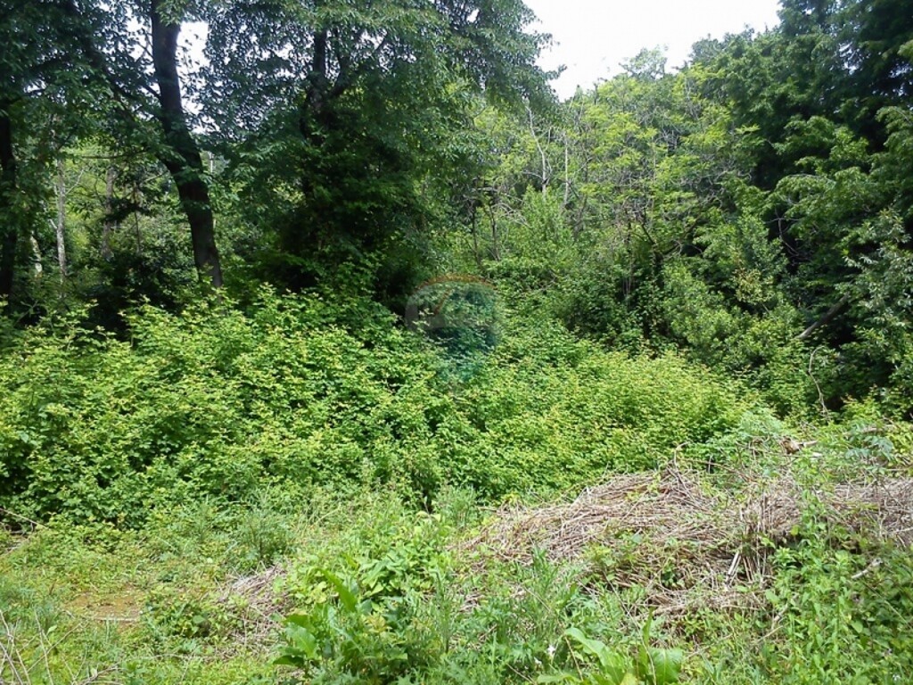 Image 5411026 - 5