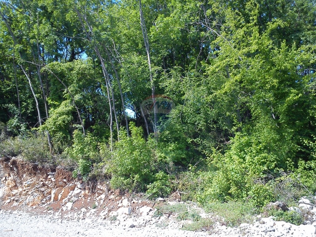 Image 5411040 - 2