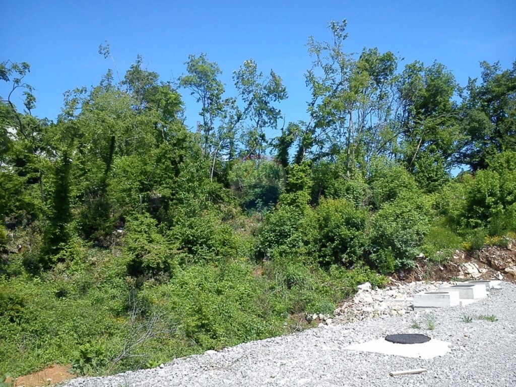 Image 5411040 - 3