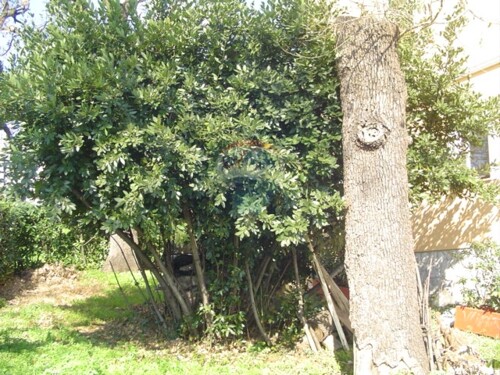 Thumbnail 5411051 - 8