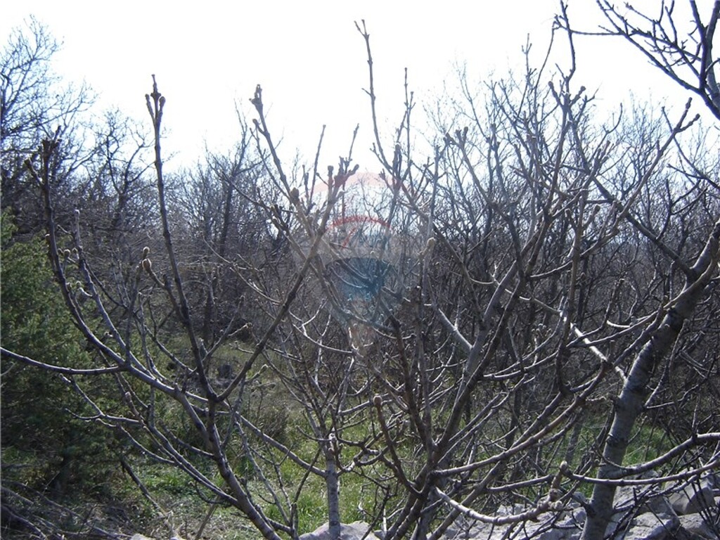 Image 5411065 - 1