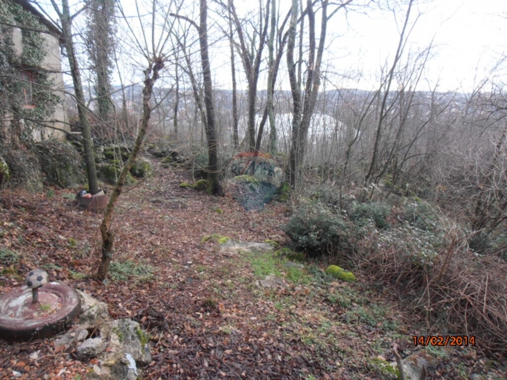 Image 5411087 - 2