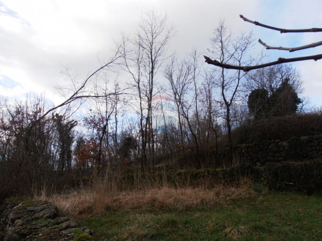 Image 5411087 - 7