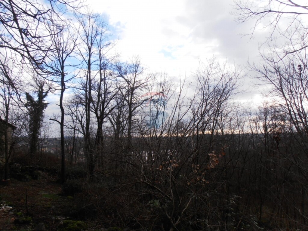 Image 5411087 - 6