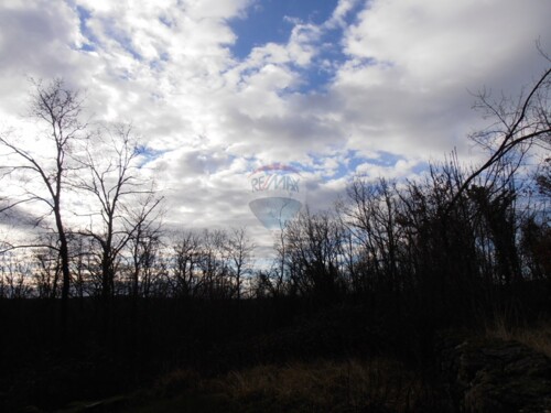 Thumbnail 5411087 - 8