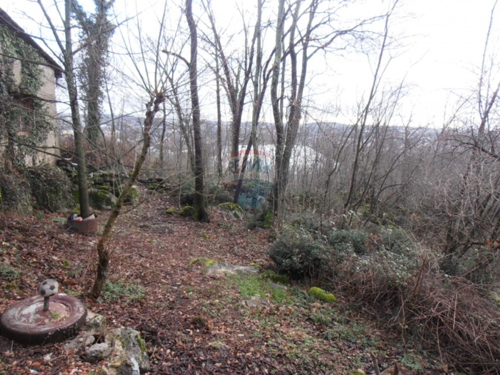 Image 5411087 - 4
