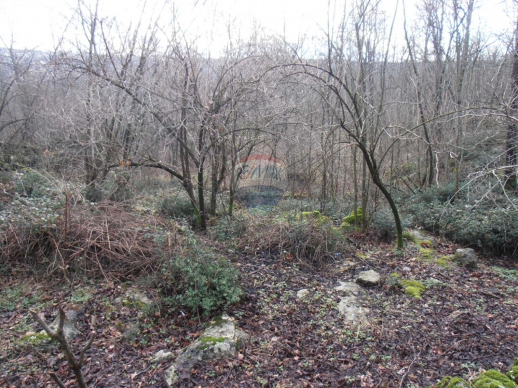 Image 5411087 - 3