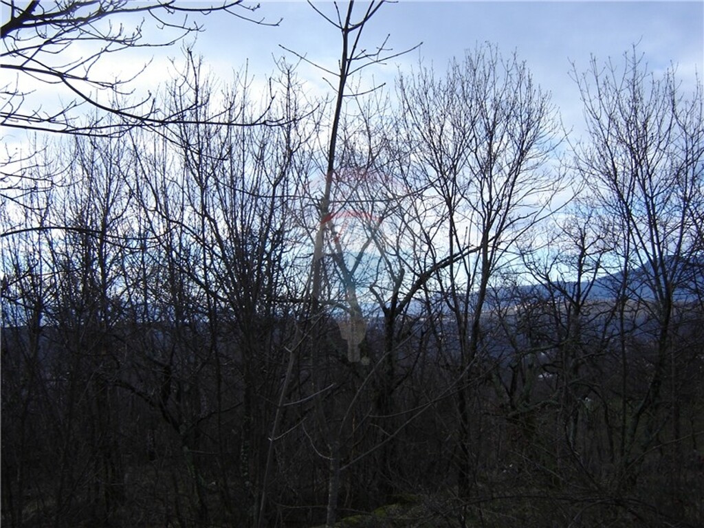 Image 5411088 - 3
