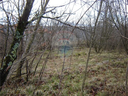 Thumbnail 5411088 - 5