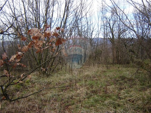 Thumbnail 5411088 - 7