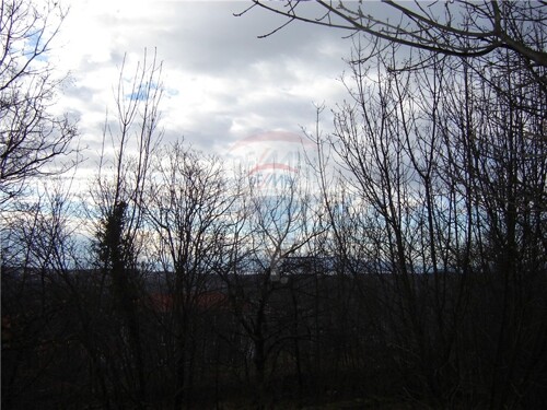 Thumbnail 5411088 - 4