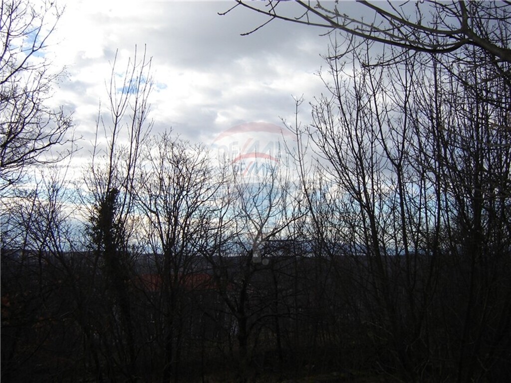 Image 5411088 - 4