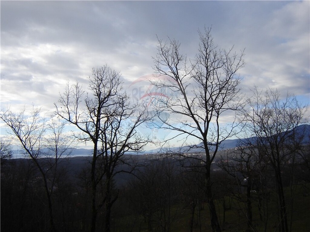 Image 5411088 - 2