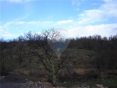 Thumbnail 5411088 - 8
