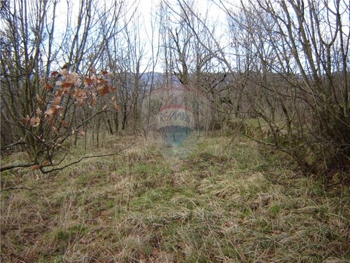 Thumbnail 5411088 - 6