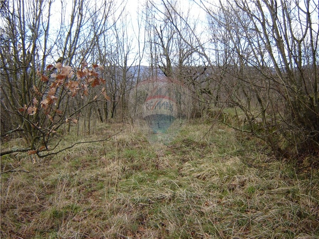 Image 5411088 - 6