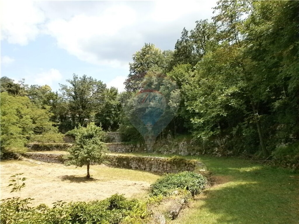 Image 5411089 - 9