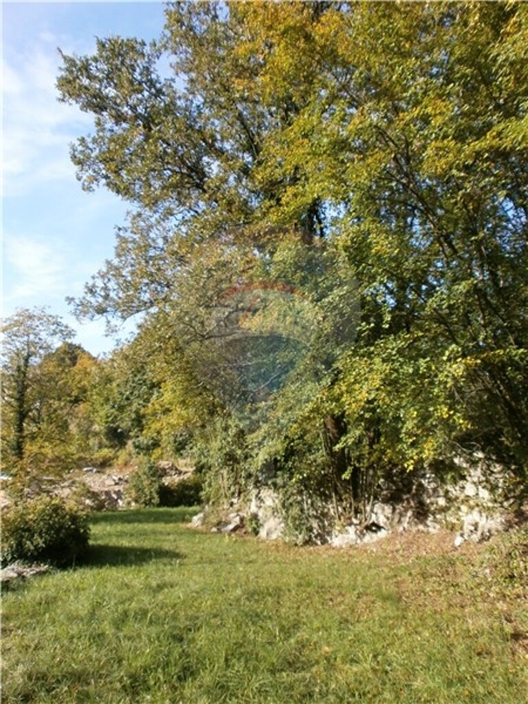 Image 5411089 - 14