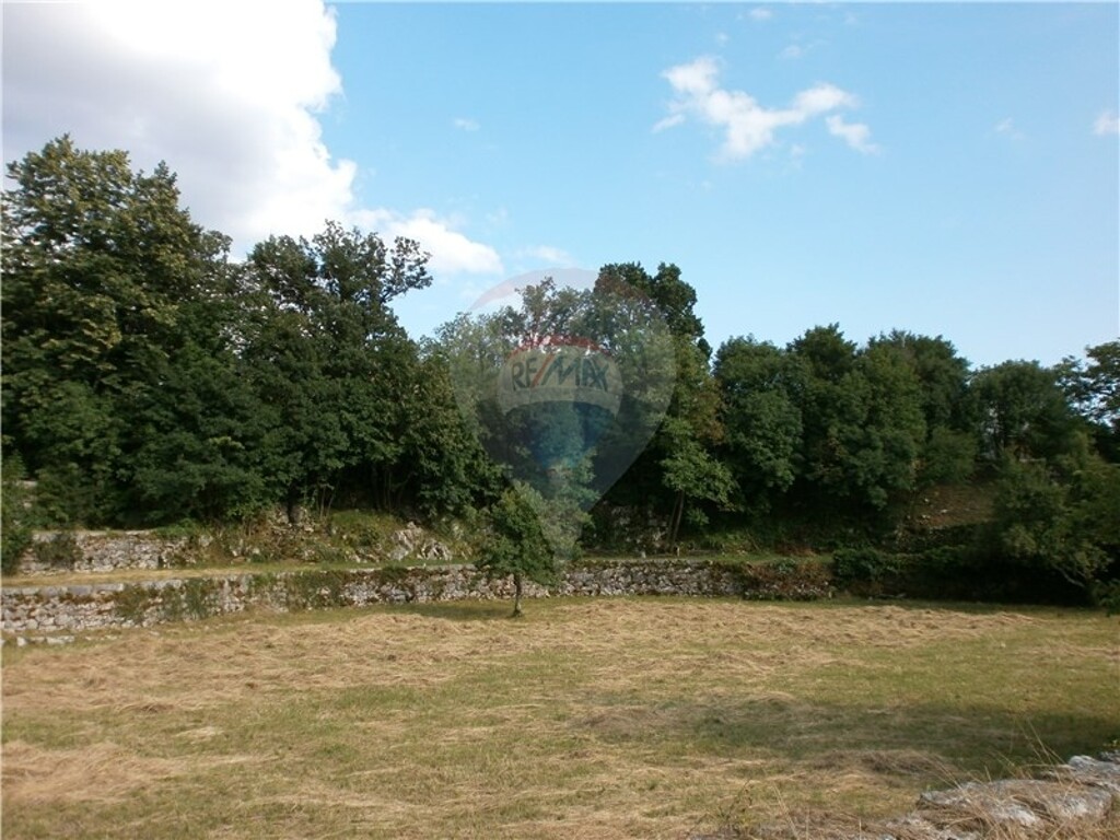 Image 5411089 - 4