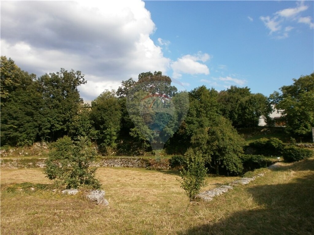 Image 5411089 - 3