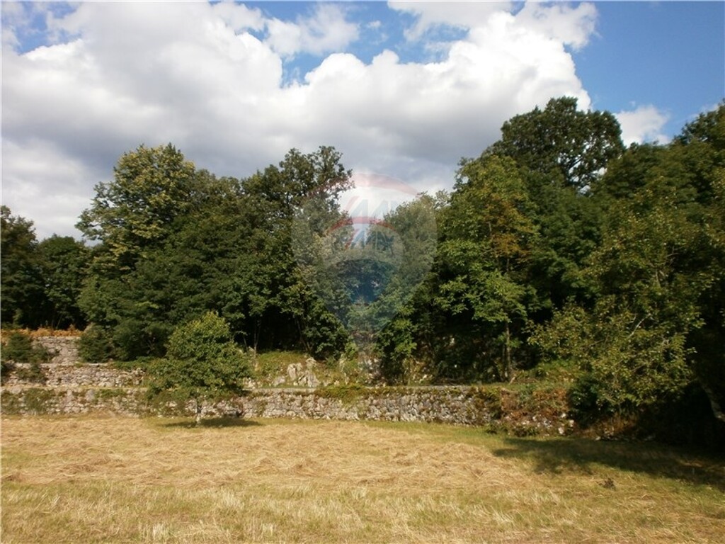 Image 5411089 - 2