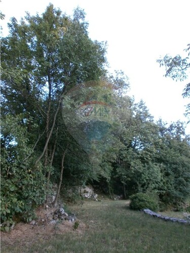 Thumbnail 5411089 - 11