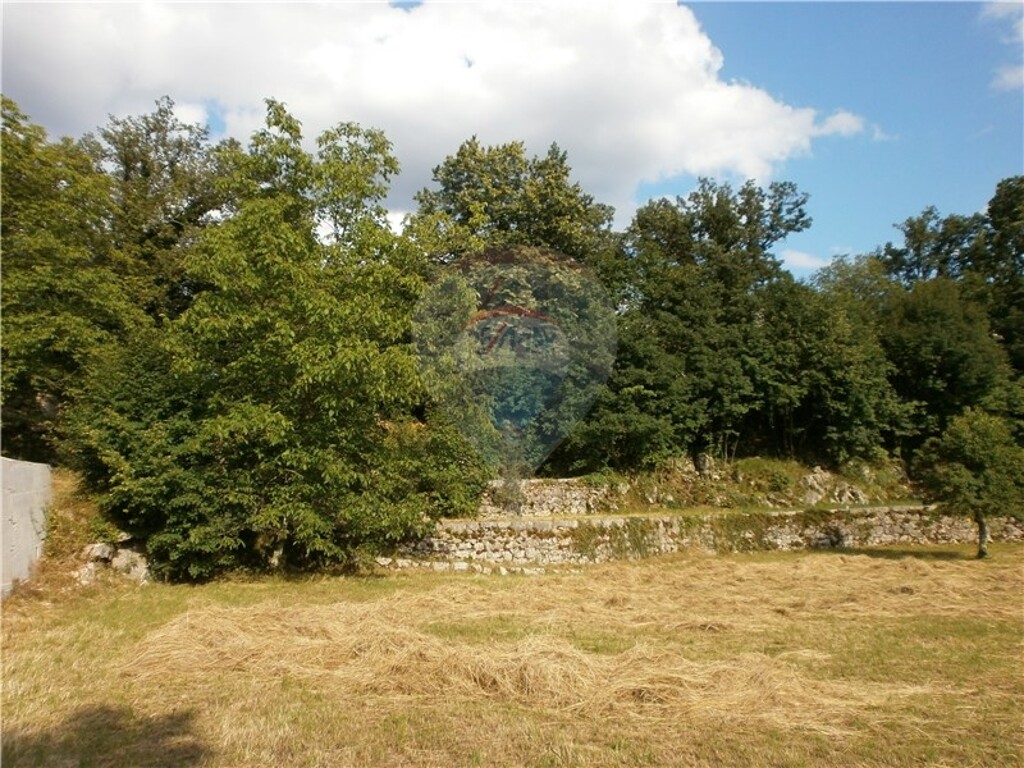 Image 5411089 - 5