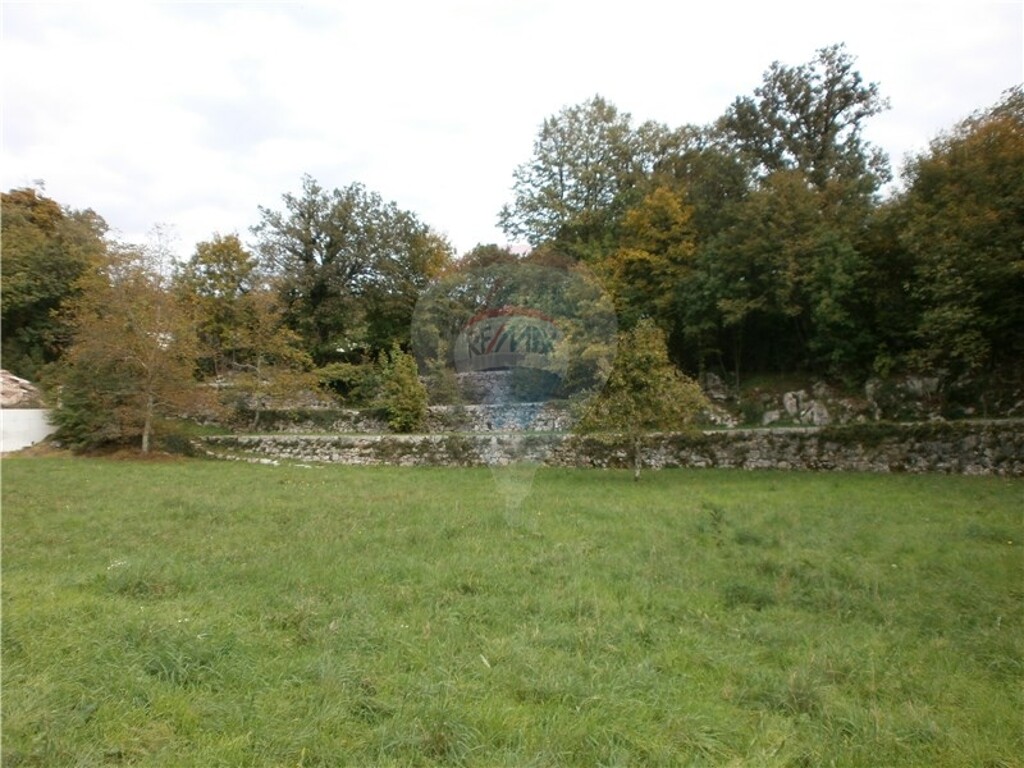Image 5411089 - 1