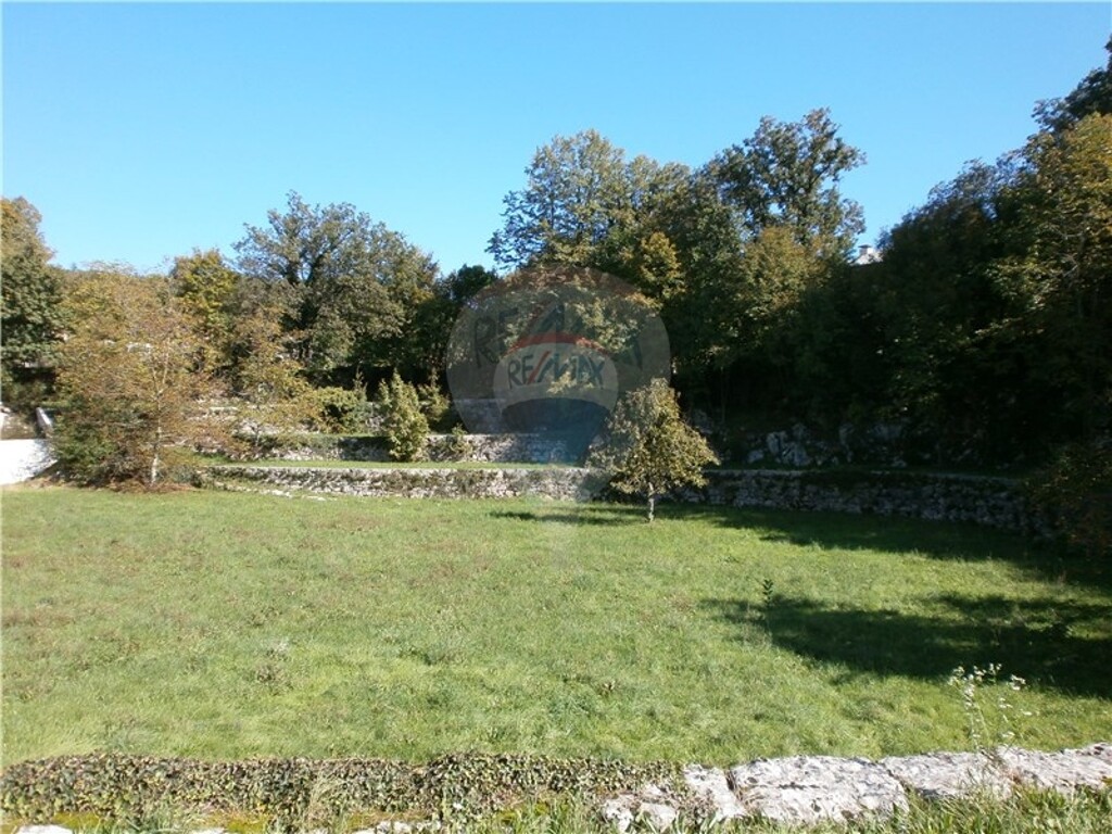 Image 5411089 - 13
